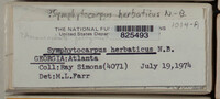 Image Associated With the Occurence